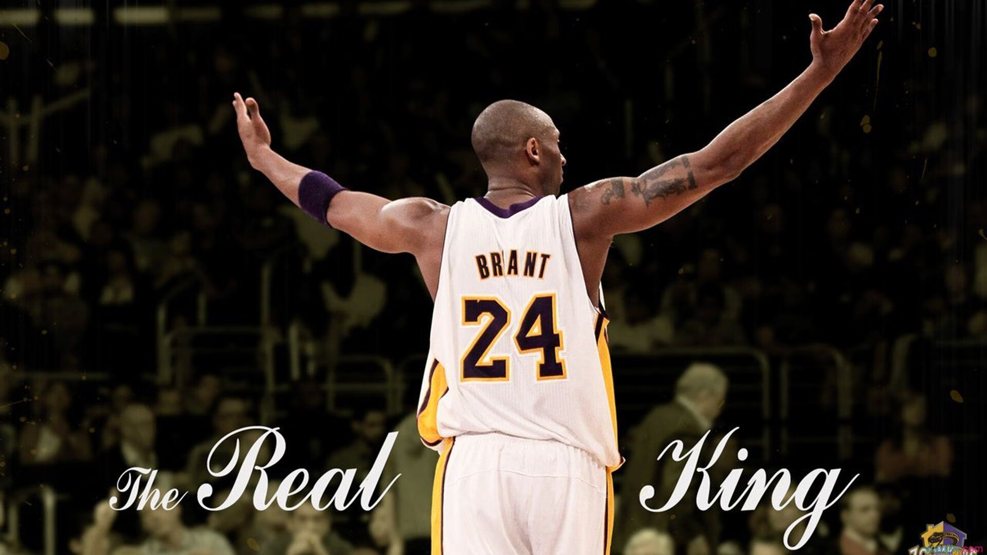 体育仲裁机构裁定争议案件，维护赛事公平公正