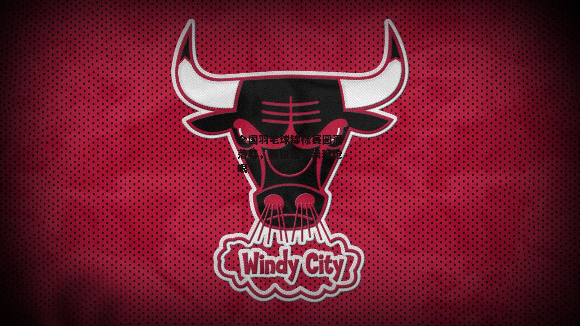 全国羽毛球锦标赛圆满落幕，新锐选手表现抢眼